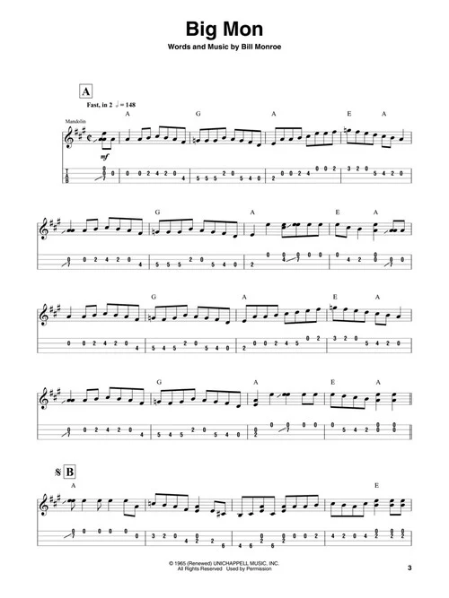 Bill Monroe Mandolin Play-Along Vol. 12 - Image 3