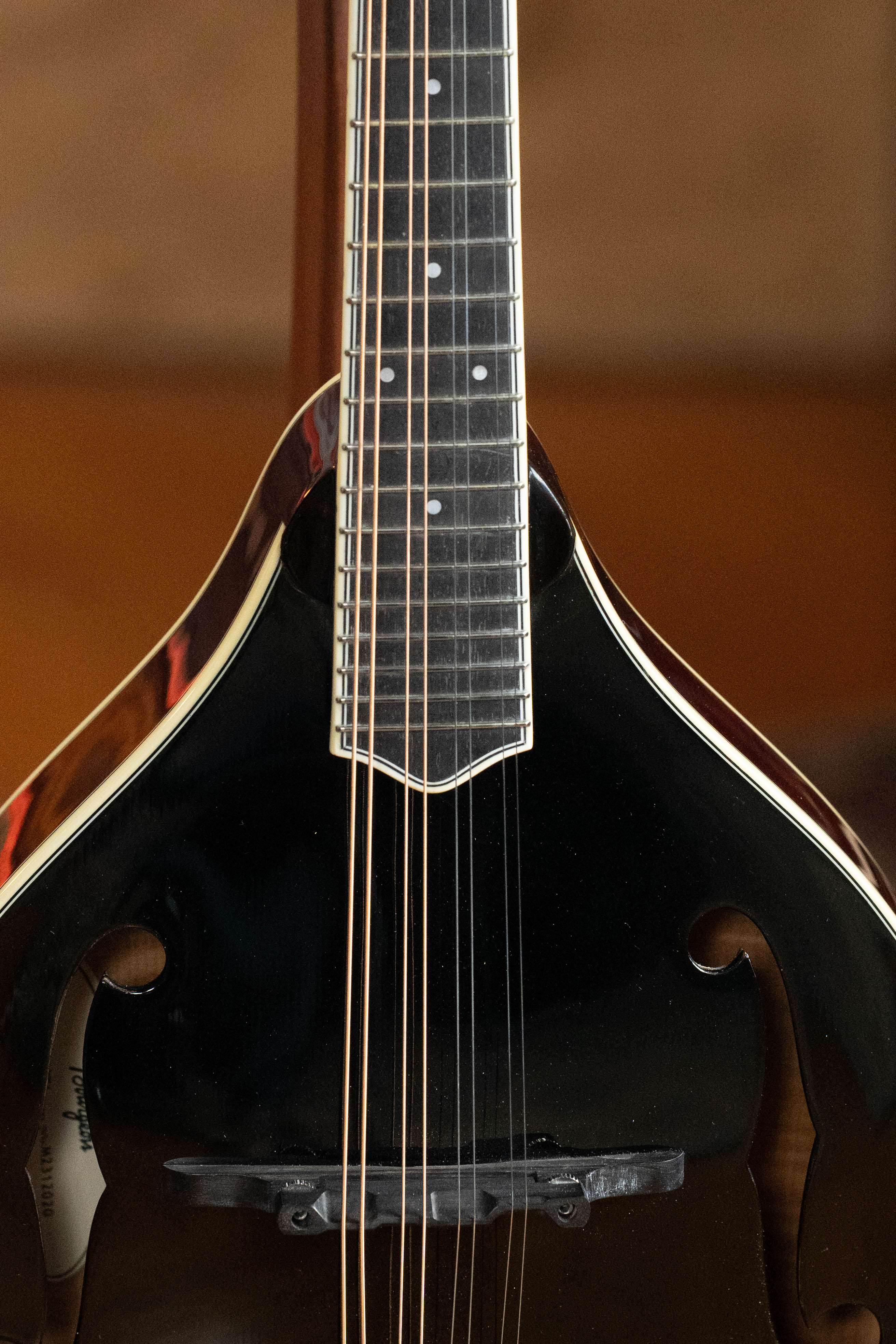 Bourgeois M5-A-BT Aged-Tone Black Top A-Style Mandolin #2020 - Image 6