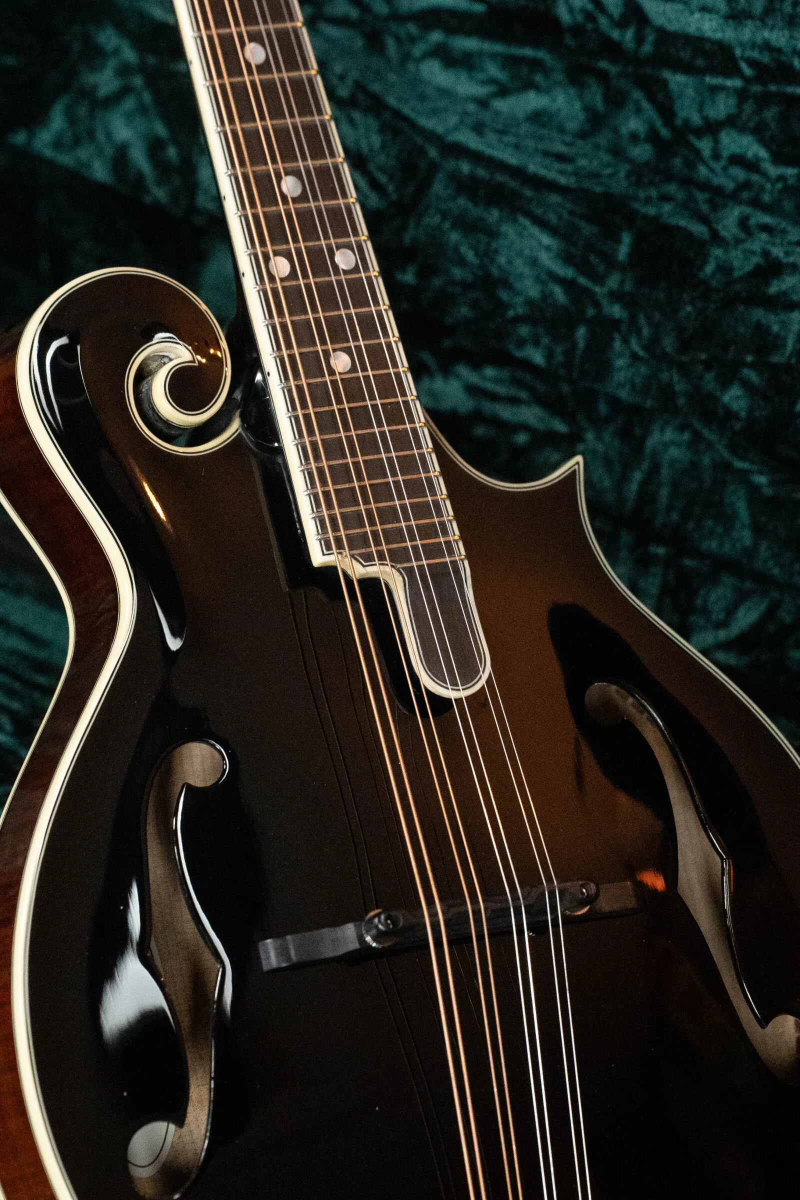 Bourgeois Limited Chocolate M5-F-BT Aged-Tone Adirondack/Maple Black Top F-Style Mandolin #6113 - Image 3