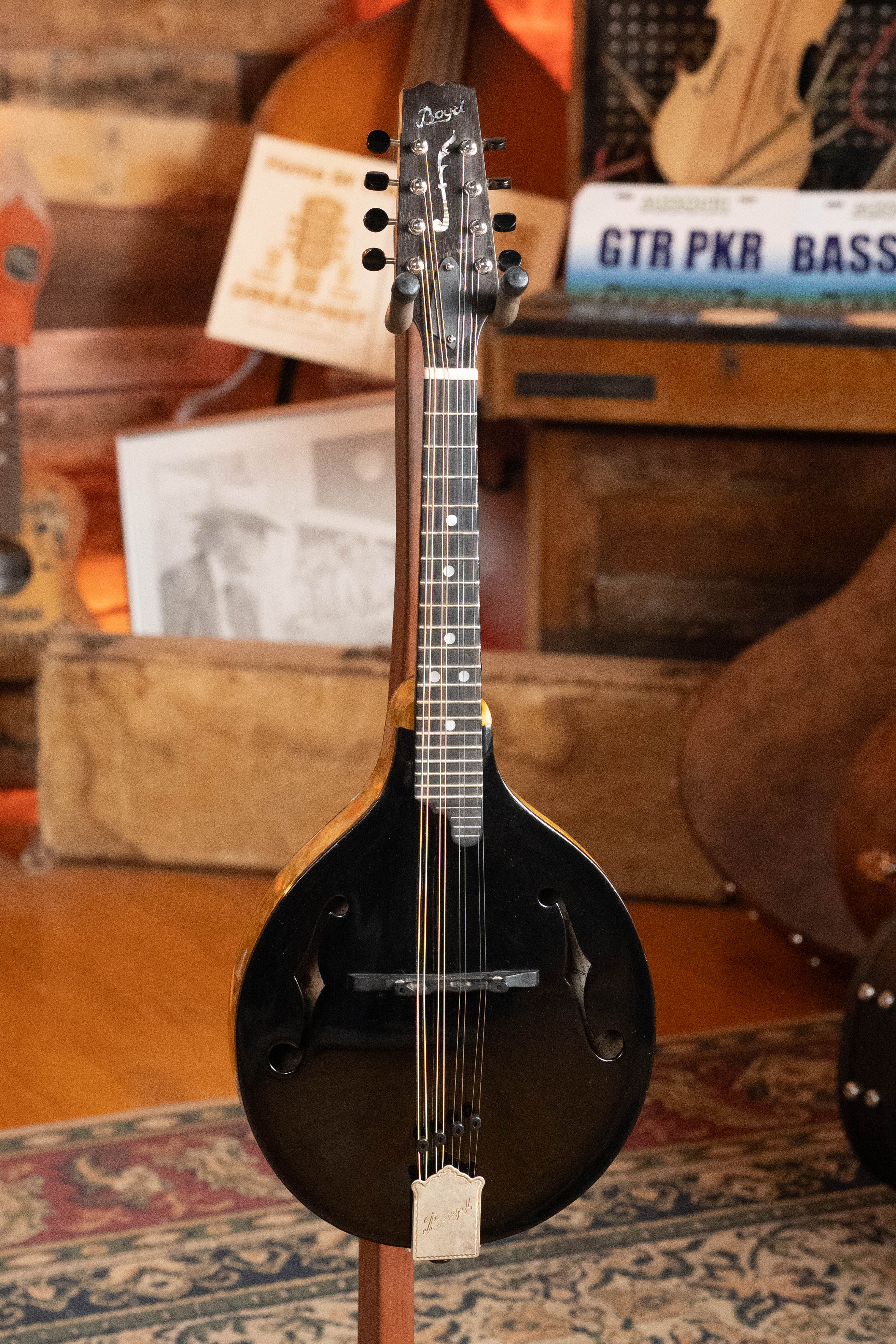 Boyd Blackbird Adirondack/Maple Black Lacquered A-Style Mandolin #0011 - Image 5
