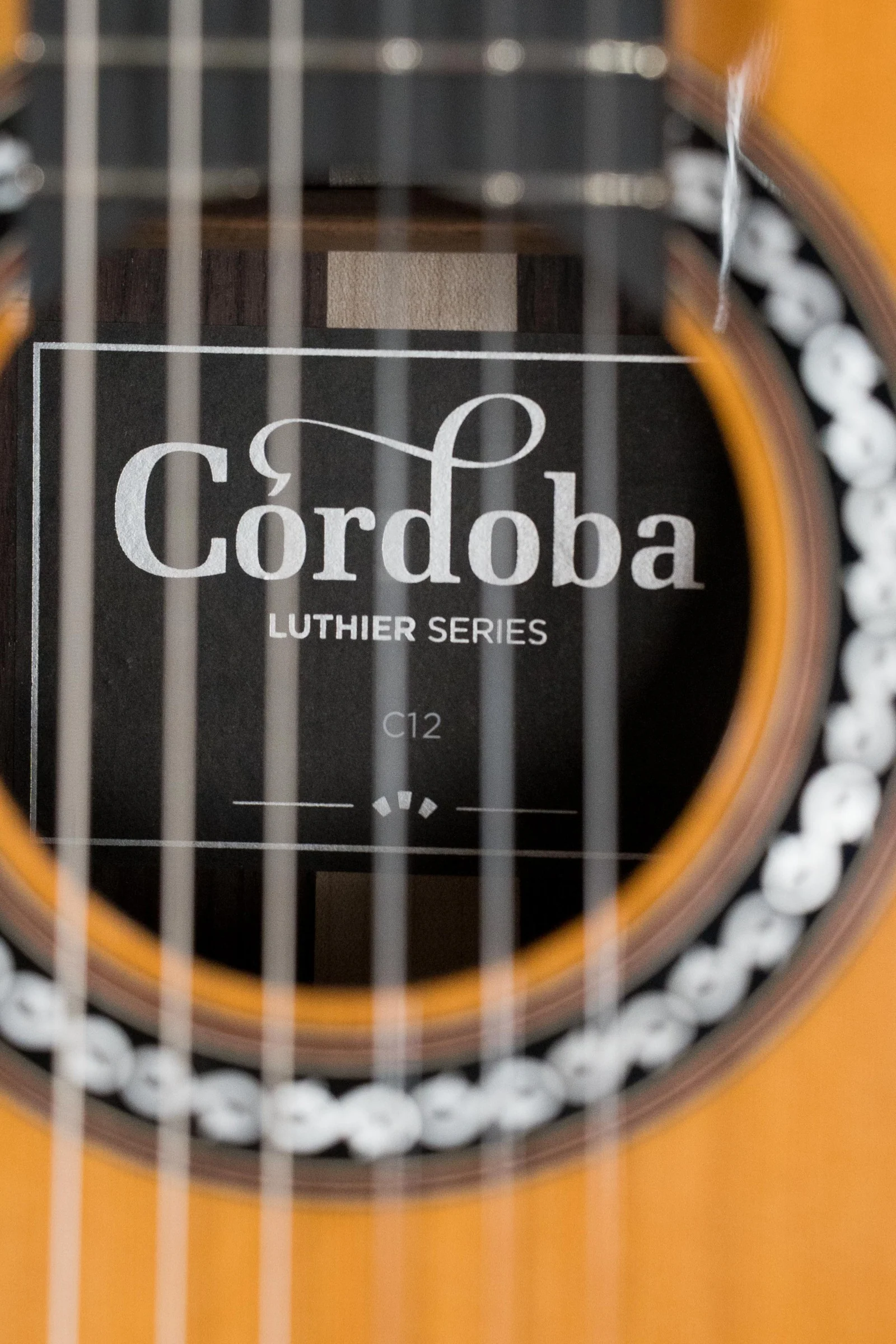 Cordoba C12 CD Red Cedar/Rosewood Nylon String Acoustic Guitar #2218 - Image 4