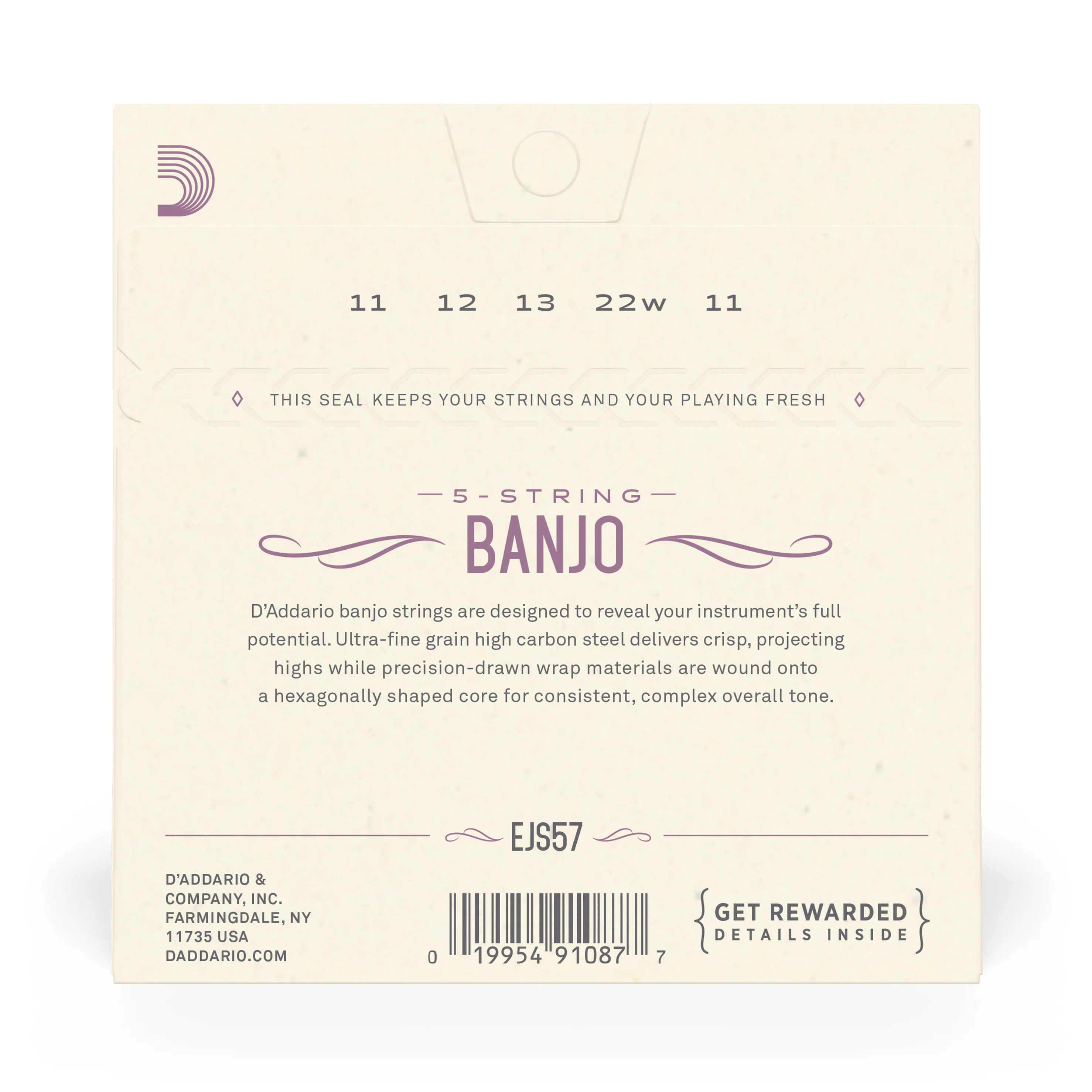 D'Addario EJS57 5-String Banjo Strings, Stainless Steel, Custom Medium, 11-22 - Image 3