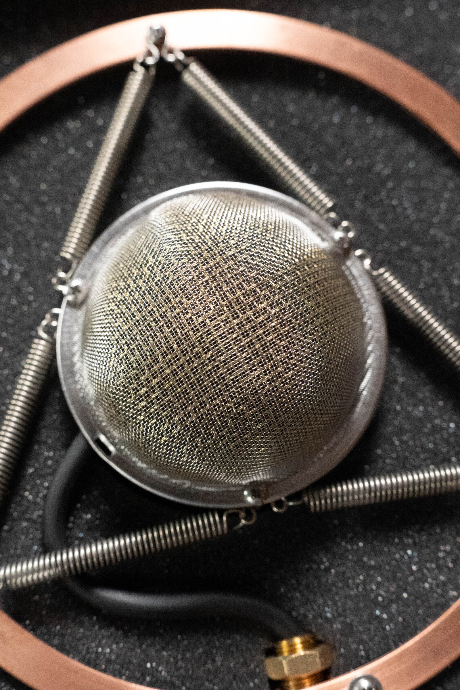 Ear Trumpet Labs Josephine Microphone - Image 4