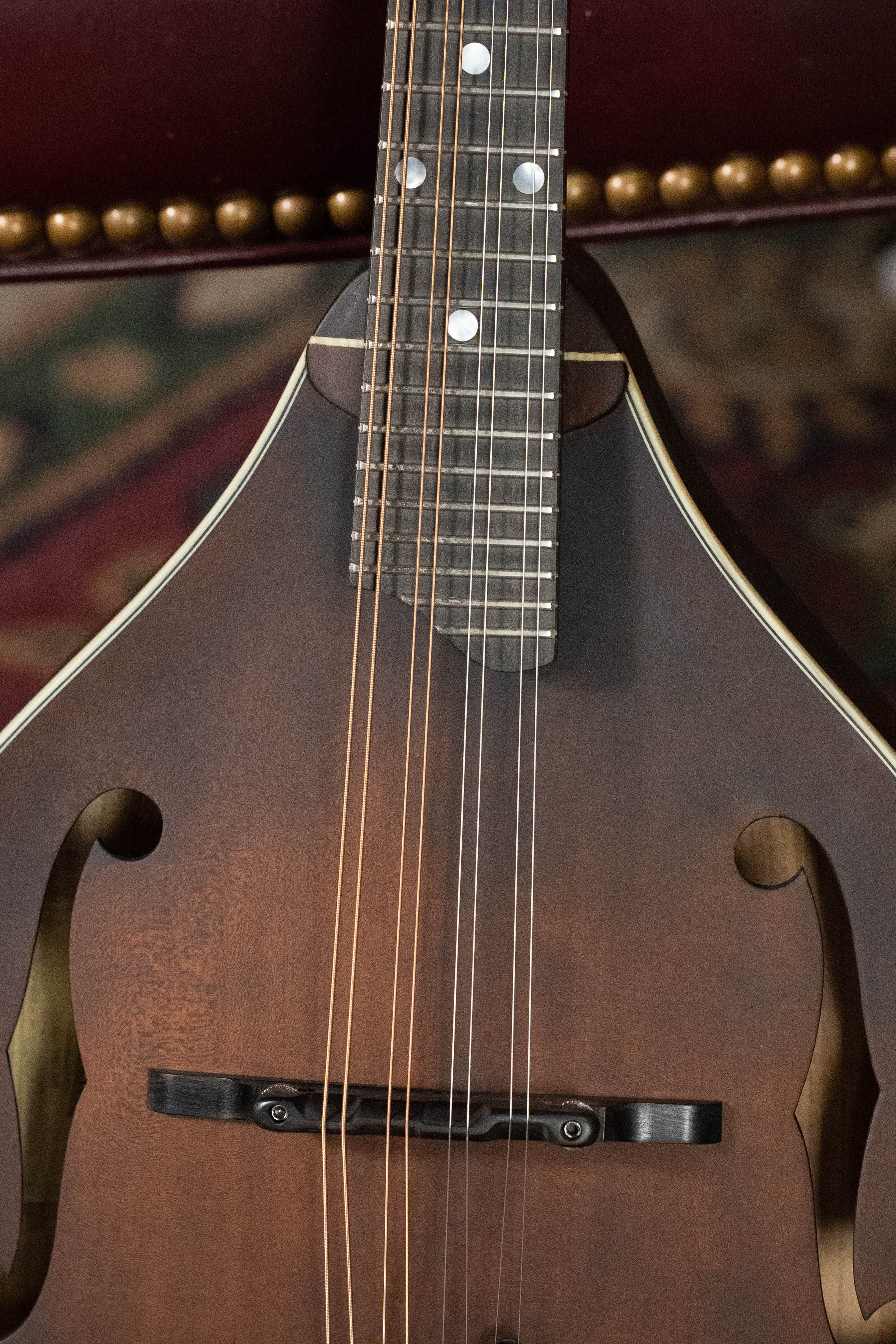Eastman MD305 Spruce/Maple A-Style Hand-Carved Mandolin #3514 - Image 4