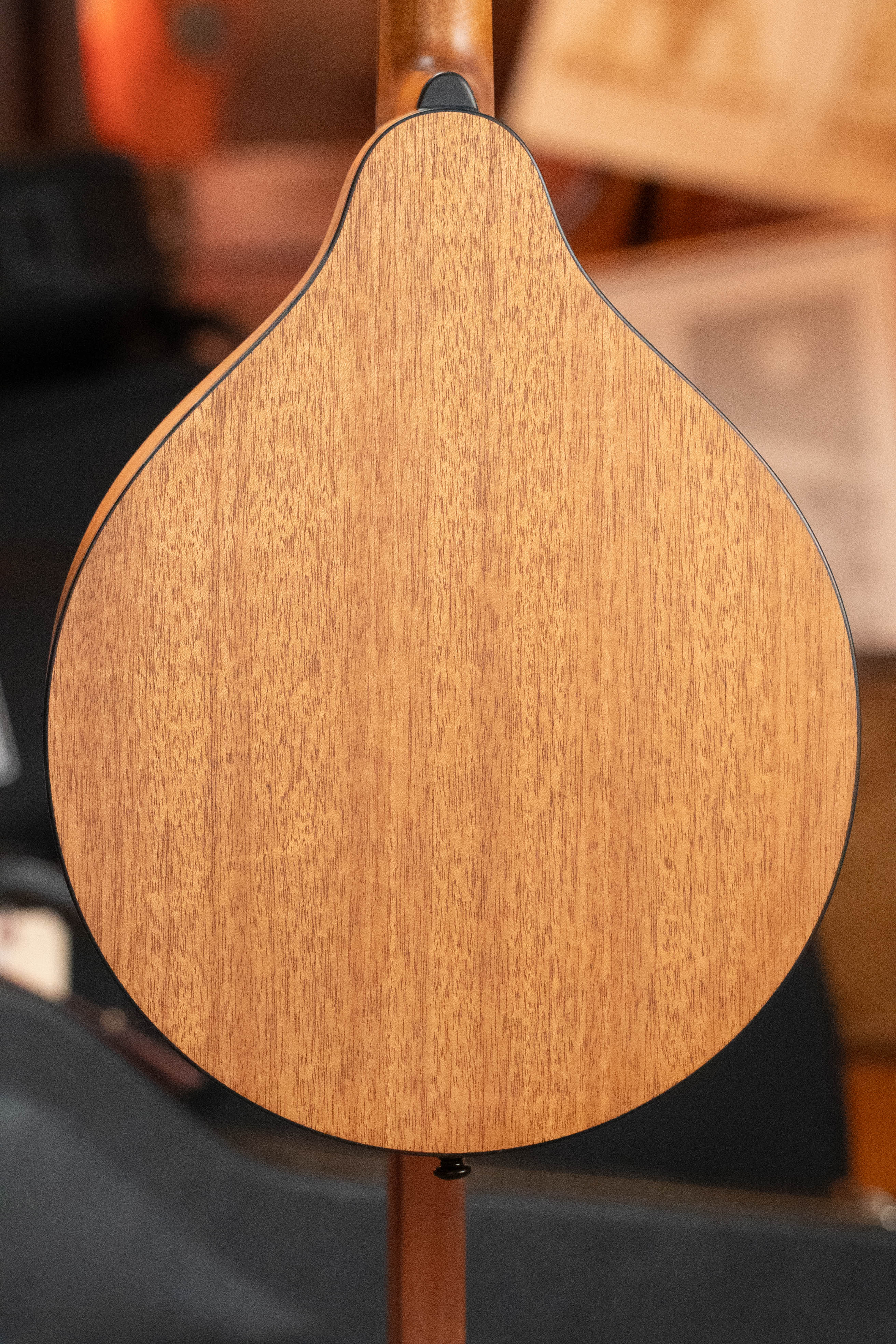 Eastman PCH-M104-GB Solid Spruce/Laminated Mahogany Goldburst Flattop A-Style Mandolin #0065 - Image 9