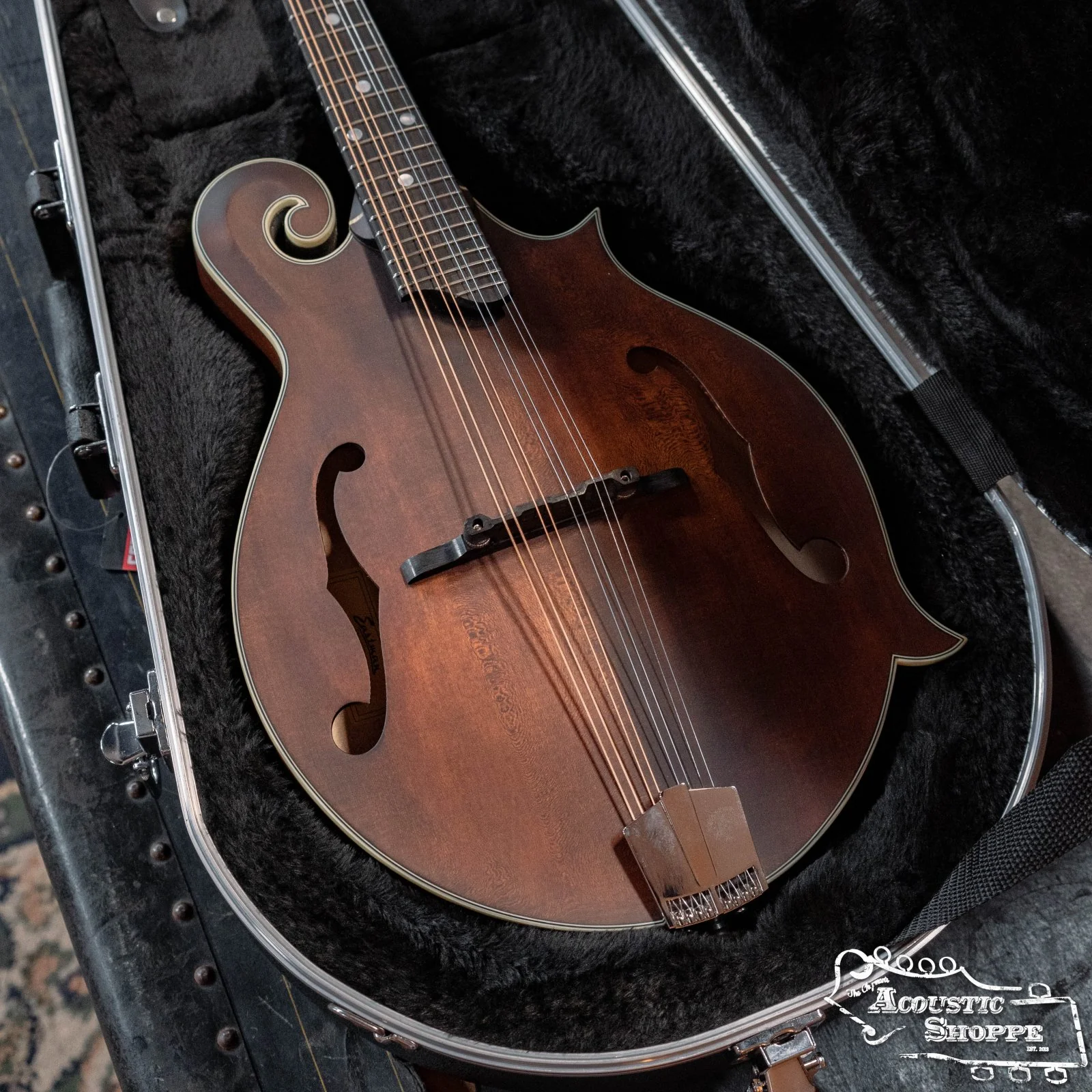 Gator Classic Deluxe Molded Case for Mandolin Case (GC-MANDOLIN) - Image 3
