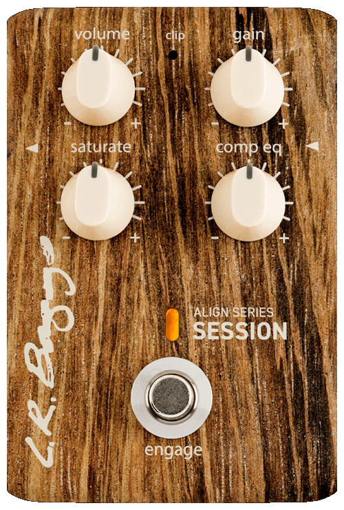 L.R. Baggs Align Session - Image 2