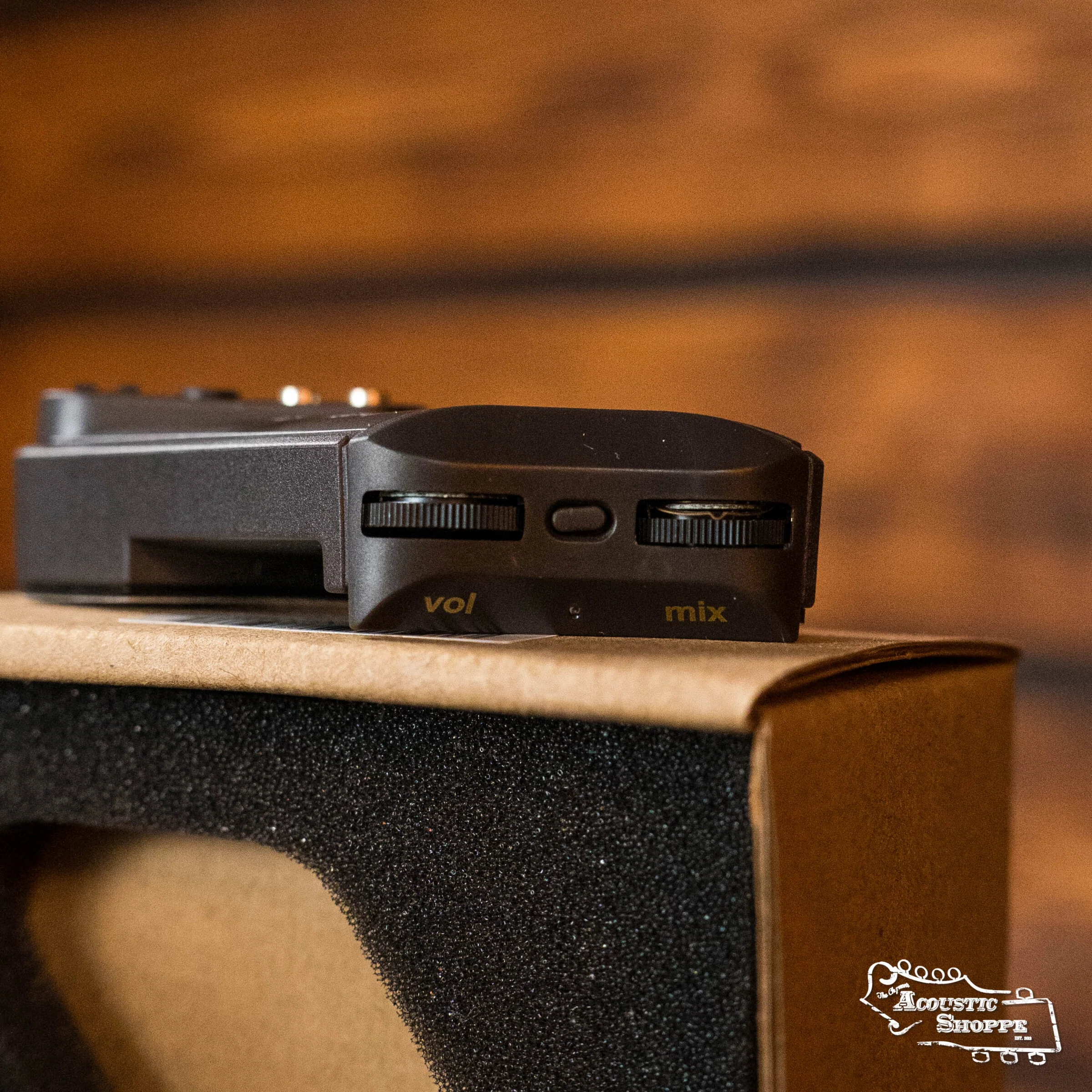 L.R. Baggs HiFi Duet - Image 3