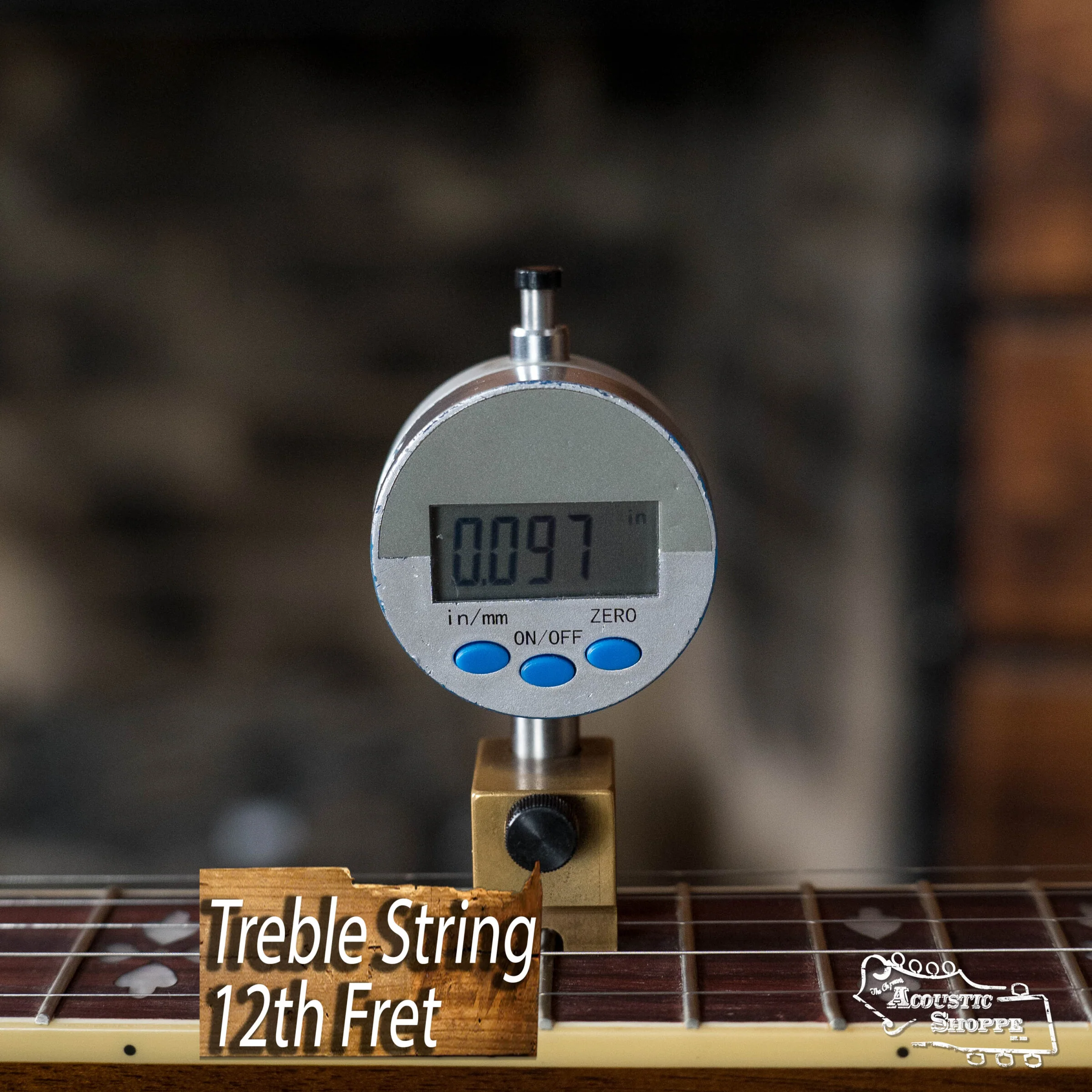 (Floor Model) Recording King RK-R20 Songster Resonator Banjo #0249 - Image 12