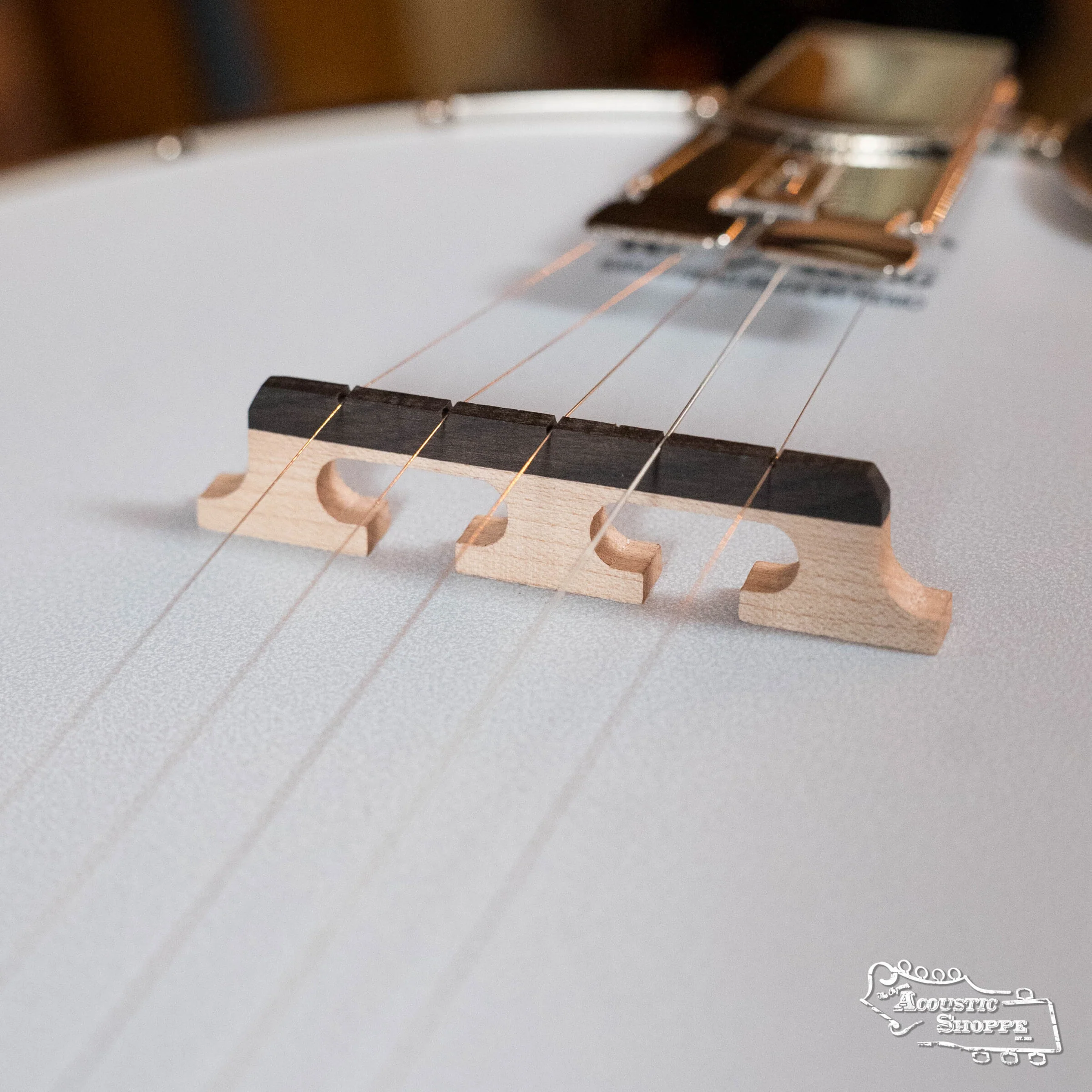Recording King RK-R35-BR Madison Resonator Banjo with Tone Ring #0512 - Image 15