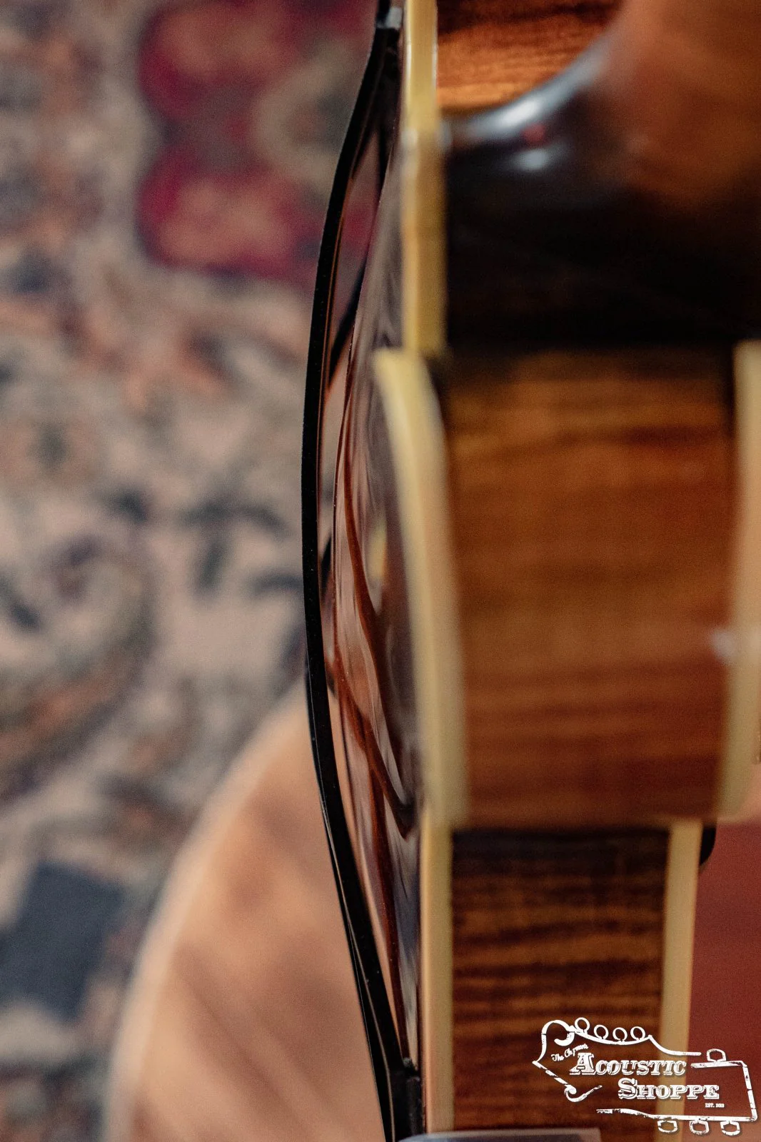 Tone-Gard Mandolin - Deco - Image 2