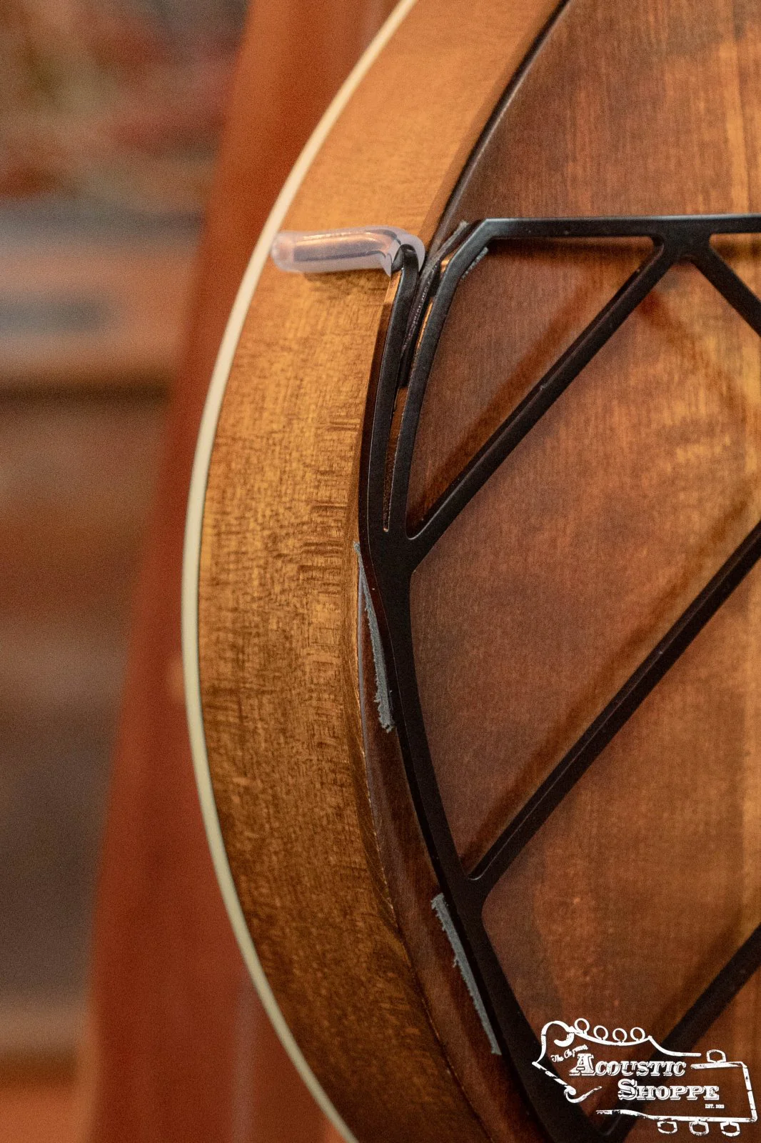 Tone-Gard Mandolin - Deco - Image 4