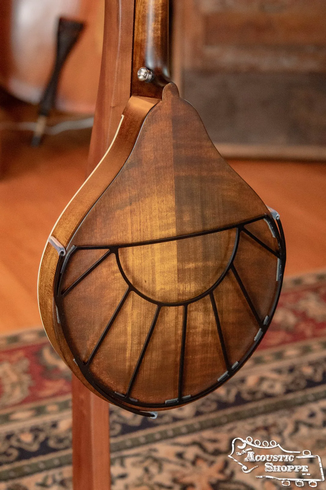 Tone-Gard Mandolin - Sunrise - Image 6